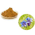 Gentiopicroside; Gentiana scabra Bunge extract