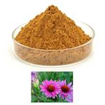 ECHINACEA HERB P.E.