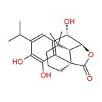 Rosmanol