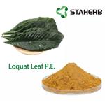 Loquat Leaf P.E.