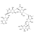 N,N,N,N,N-Pentaacetyl chitopentaose