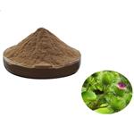 Arctium Extract