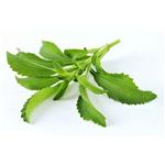 Rebaudioside A; stevia?rebaudiana extract