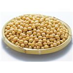 Soybean extract; Phosphatidylserine