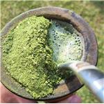 Yerba Mate extract powder; Instant Yerba Mate powder