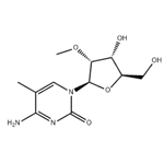 2'-(O-METHYL)-5-METHYLCYTIDINE