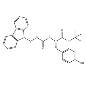 Fmoc-Tyr-OtBu