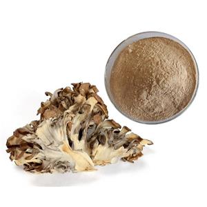 Ash tree flower extract; Griflola frondosa extract