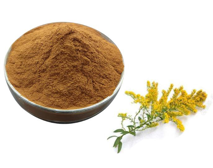 Goldenrod Extract