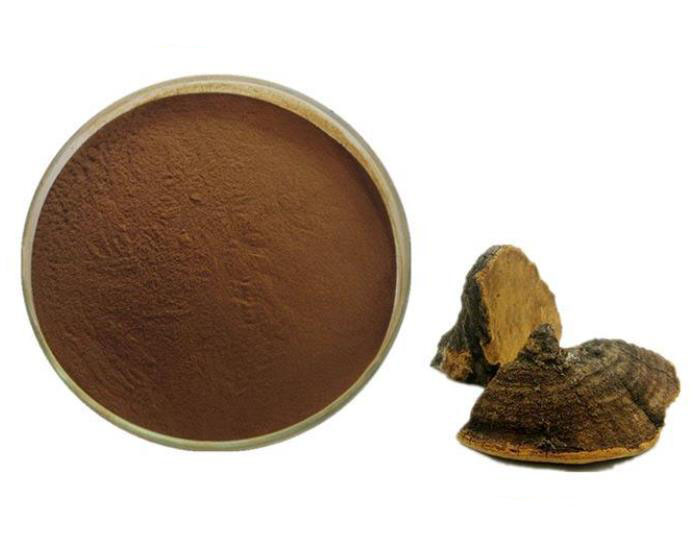 Sanghuang extract