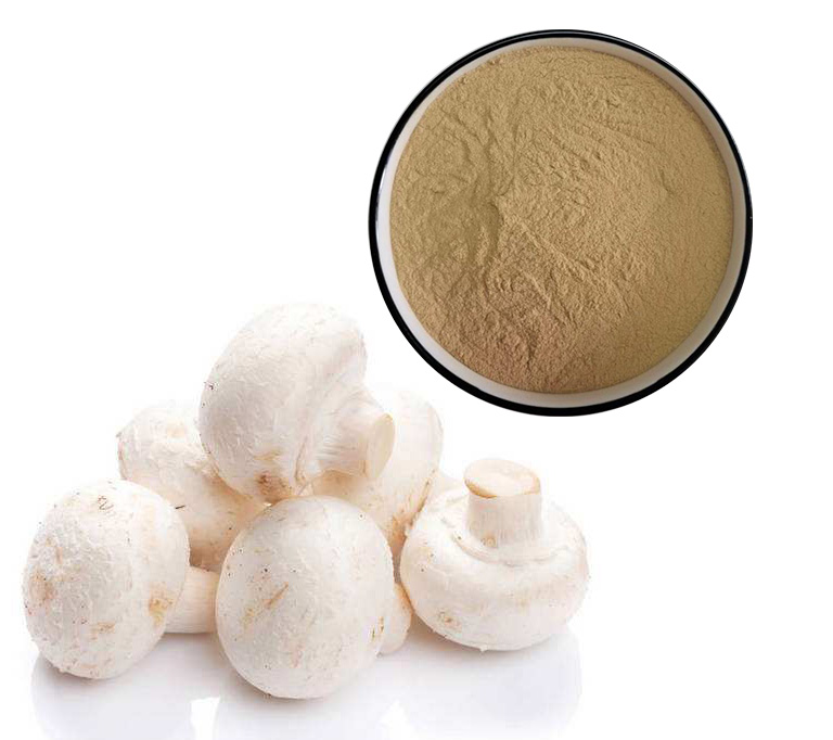 Agricus bisporus powder