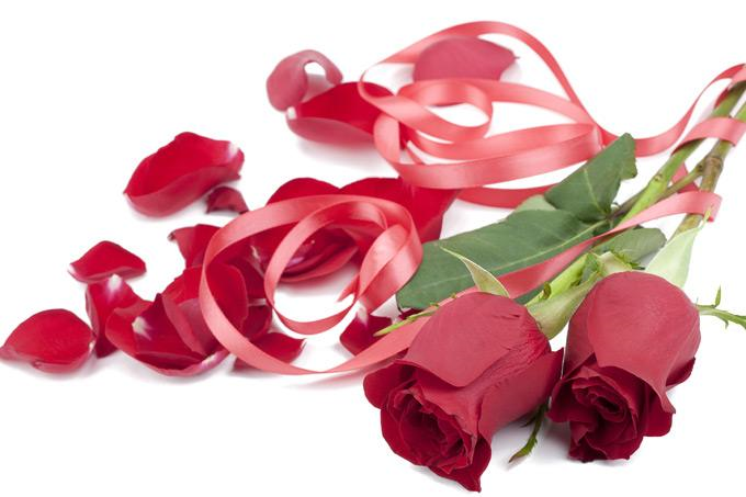 Rose Oil;Rose extract; Rose powder extract