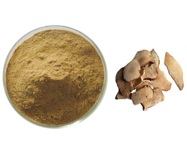 China root extract