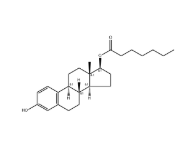 Oestradiol 17-heptanoate