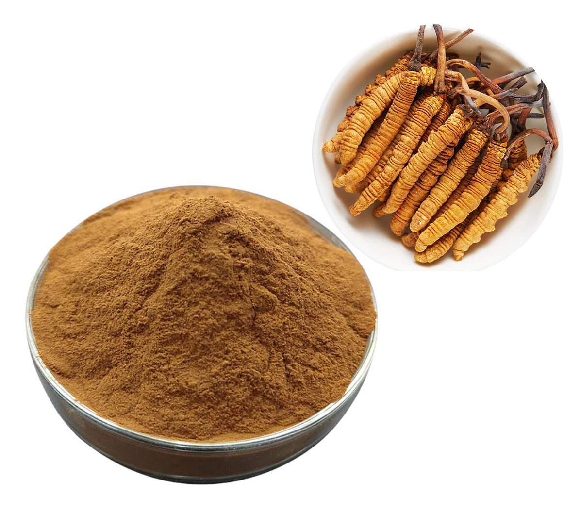 Cordyceps polysaccharide