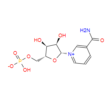 Beta-Nicotinamide Mononucleotide（NMN）