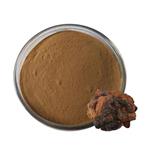 Chaga extract