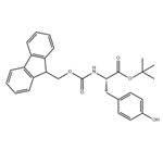 Fmoc-Tyr-OtBu