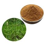 Horsetail Extract