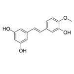 Rhapontigenin 