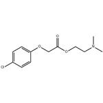 Meclofenoxate pictures