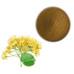 Tilia Flower Extract