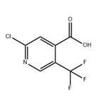 2-Chloro-5-(trifluoromethyl)isonicotinic acid 