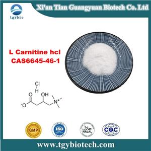 Carnitine hydrochloride