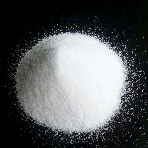 Citicoline sodium salt