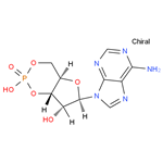 Adenosine 3',5'-cyclic monophosphate；Cyclic AMP； 3:5-CAMP；3',5'-CYCLIC AMP