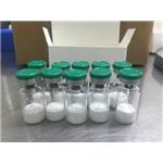 VIP (human, mouse, rat) acetate salt