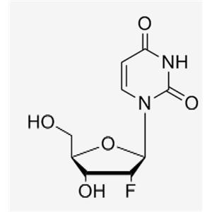 2'-F-2'-deoxyuridine；2‘-F-dU