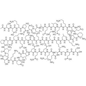 TB500（Thymosin Beta 4）