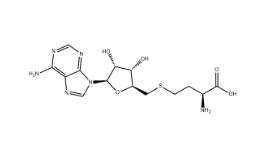 5'-DEOXY-S-ADENOSYL-L-HOMOCYSTEINE