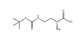 H-D-DAB(BOC)-OH