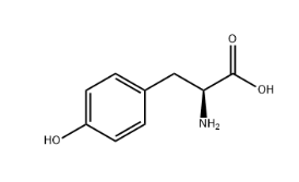 L-Tyrosine