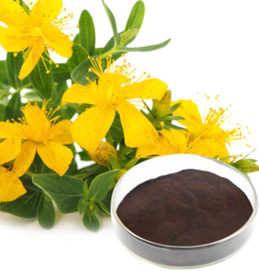 Hypericum Perforatum Extract