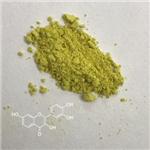 Fisetin Powder