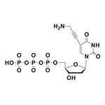 5-Propargylamino-dUTP