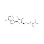 5'-DEOXY-S-ADENOSYL-L-HOMOCYSTEINE