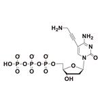 5-Propargylamino-dCTP