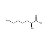 L-Lysine