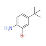 2-BROMO-4-TERT-BUTYLANILINE pictures