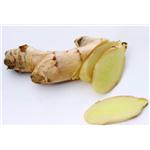 Ginger extract powder