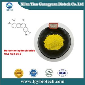 Berberine hydrochloride;Berberine hcl