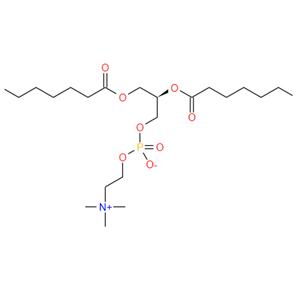 1,2-distearoyl-sn-glycero-3-phosphocholine