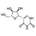 Pseudouridine