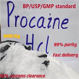 Procaine Hcl