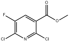 METHYL 2,6-DICHLORO-5-FLUORONICOTINATE