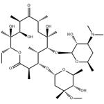 Erythromycin 